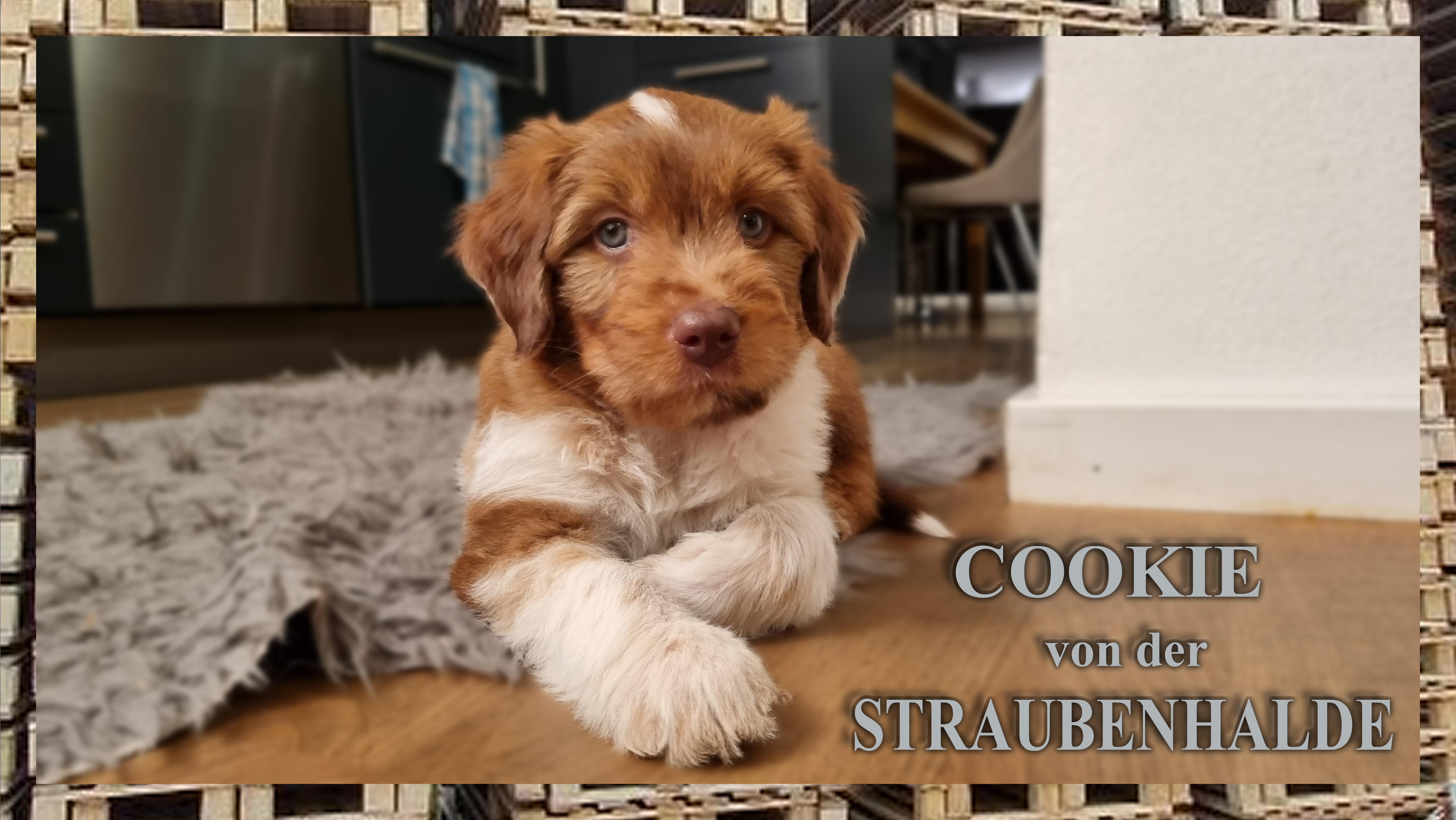 W&auml;ller von der Straubenhalde